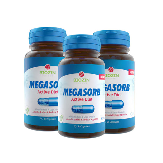 3X Megasorb (90 caps)