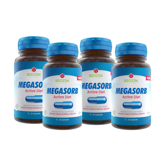 4X Megasorb (120 caps)